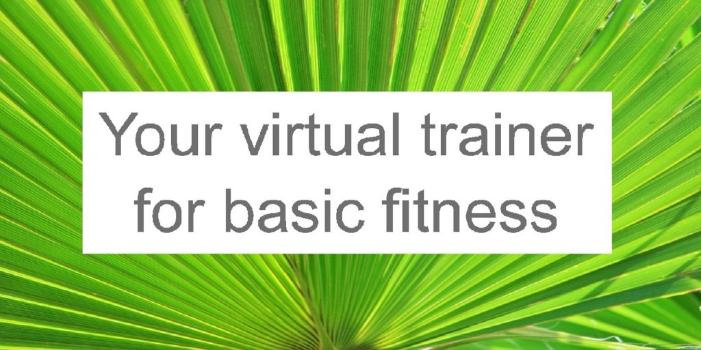 Your virtual trainer for basic fitness